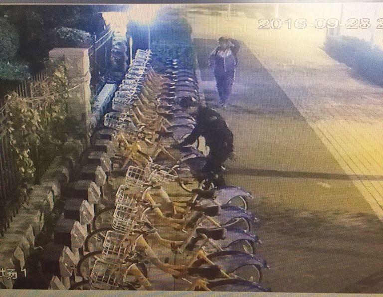 太阳成集团61999(中国)有限公司官网