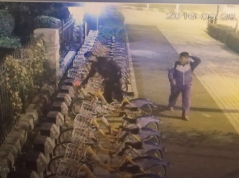 太阳成集团61999(中国)有限公司官网