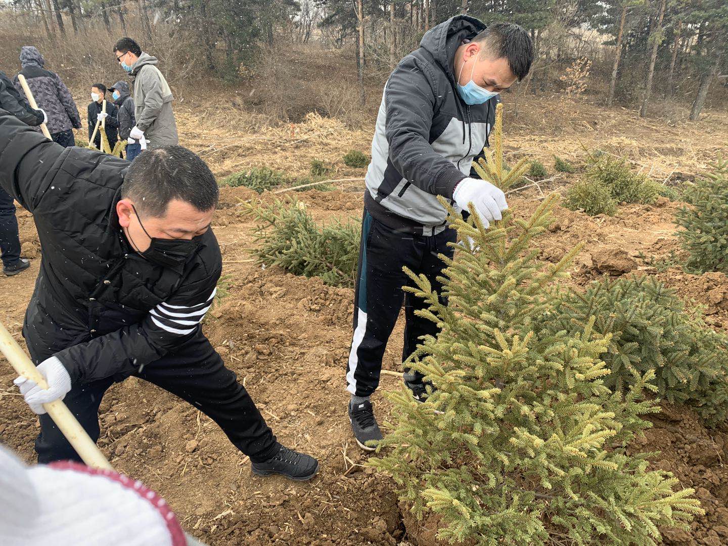 太阳成集团61999(中国)有限公司官网