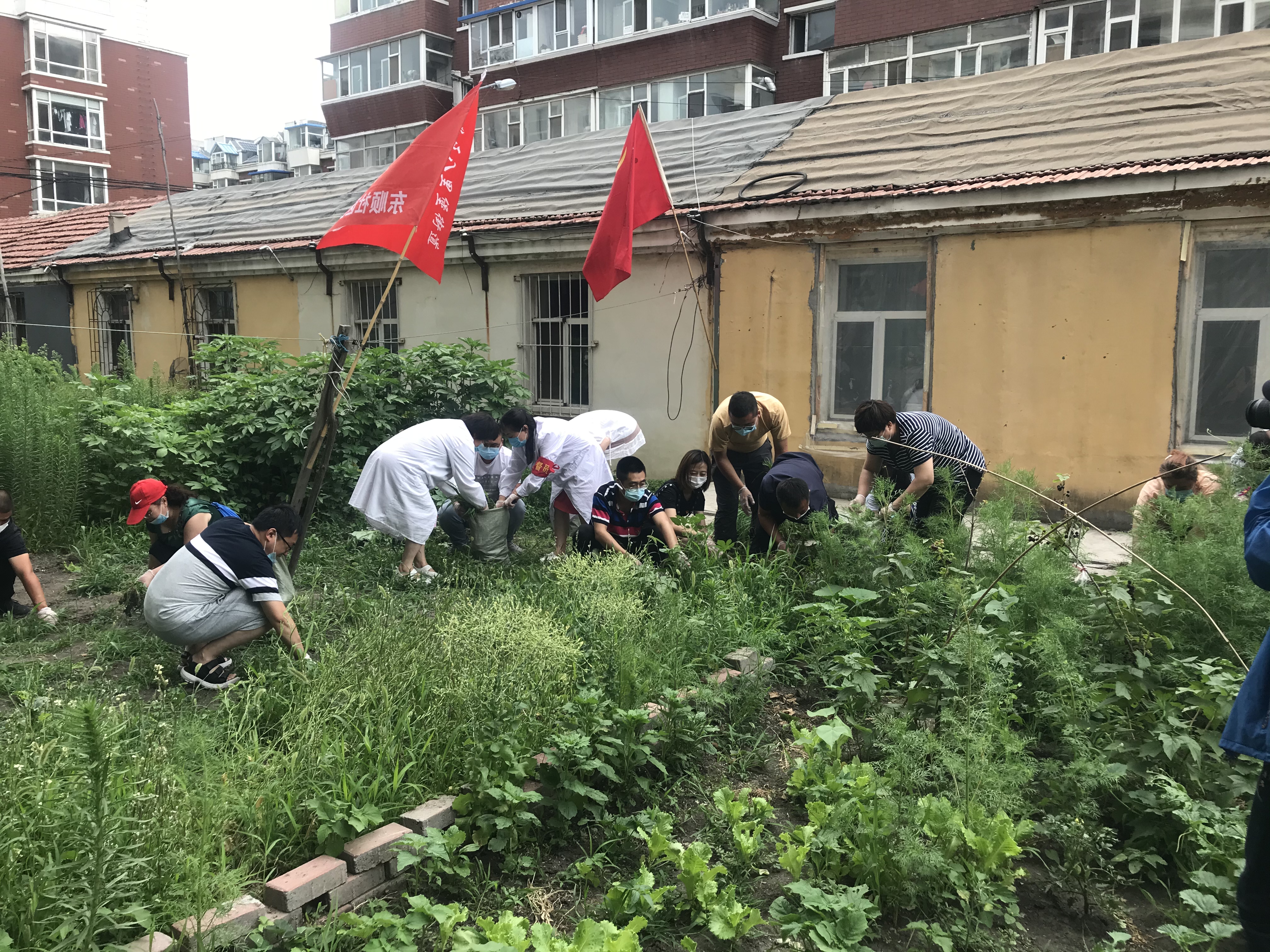 太阳成集团61999(中国)有限公司官网