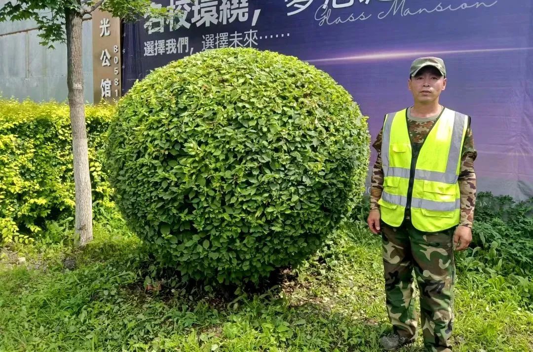 太阳成集团61999(中国)有限公司官网