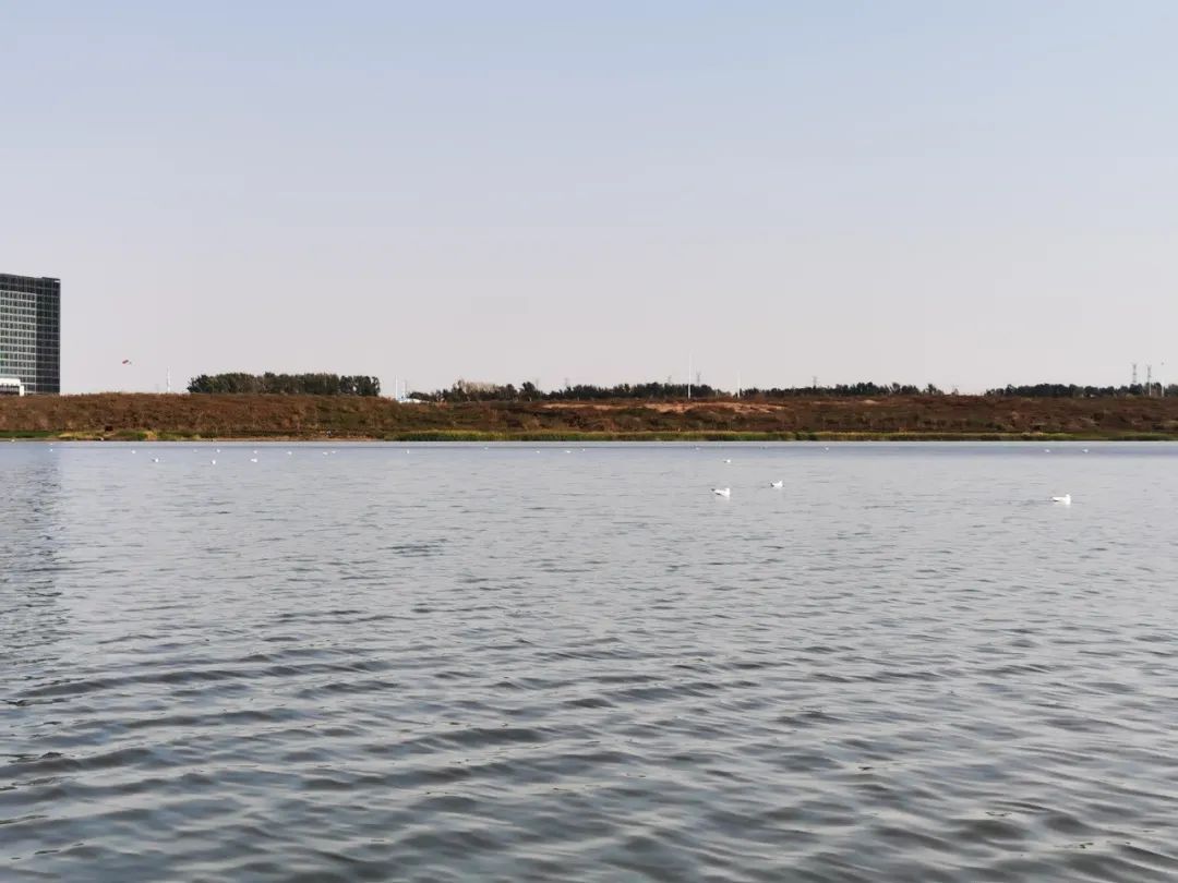 太阳成集团61999(中国)有限公司官网